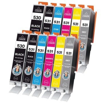 CANON ECOPrinter 530P3 | Pack de 12 cartouches ECOPrinter équivalent à Canon PGI-530  / CLI-531  | Famille Canon PGI-530 / CLI-531 | 2 Noir et 10 Couleurs individuelles | 26.5/12.2ml