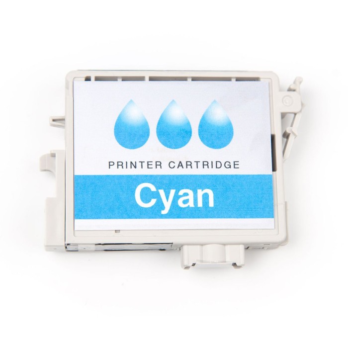 CANON-PFI1700C-4549292049152.jpg