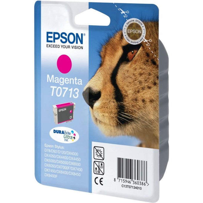 EPSON-T071340-8715946624525.jpg
