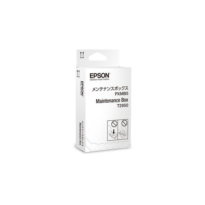 EPSON-T295000-8715946543727.jpg